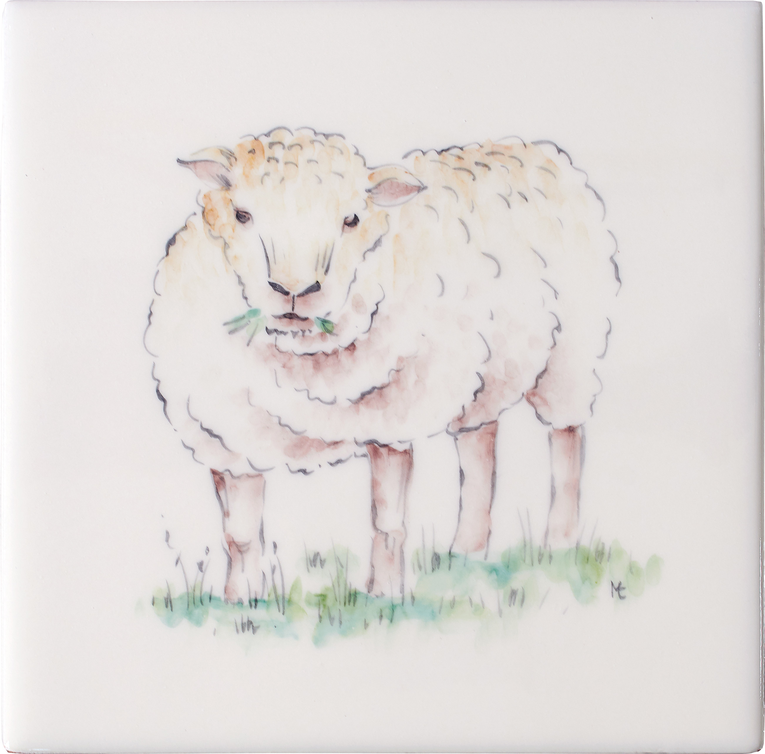 Sheep Square, product variant image
