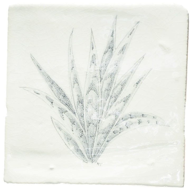 Cut out of a hand painted aloe vera square tile in a charcoal etching style