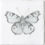 Cut out of a hand painted butterfly taco square tile in a charcoal etching style