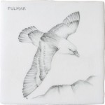 Cut out of a hand painted Fulmar bird square tile in a classic charcoal style