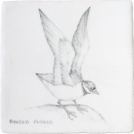 Cut out of a hand painted Ringed Plover bird square tile in a classic charcoal style
