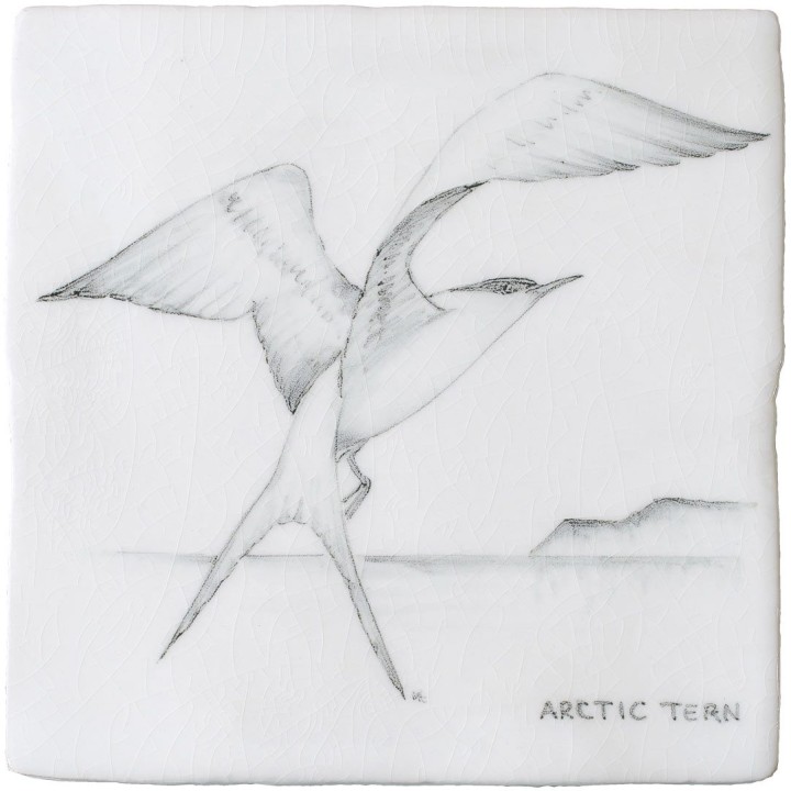 Cut out of a hand painted Arctic Tern bird square tile in a classic charcoal style