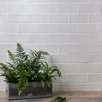 Wall of sky white metro matt tiles with white grout styled with a trough planter and fern