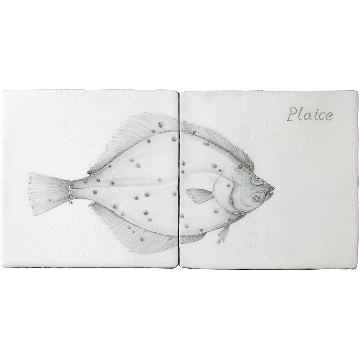 Fish 2 Panel