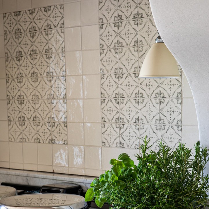 Wall of charcoal Mediterranean pattern hand painted tiles with a border of plain tiles behind a white aga and houseplant