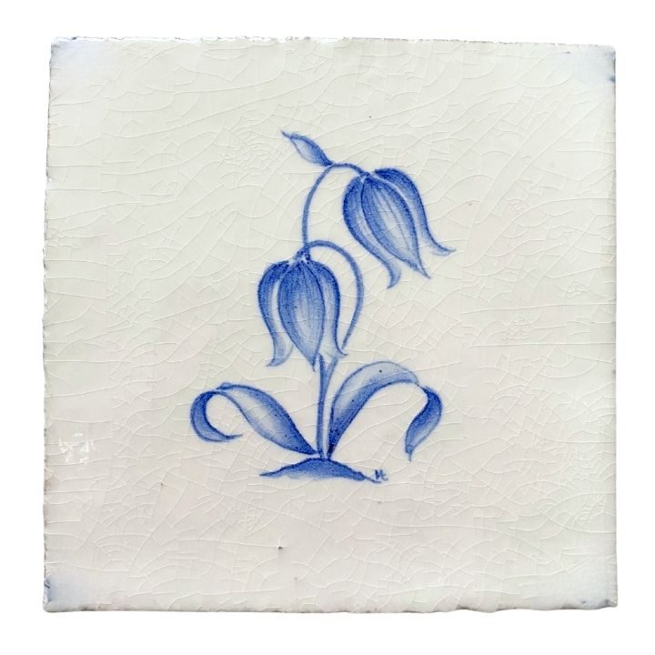 Campanula - 11 x 11cm Rustic, product variant image