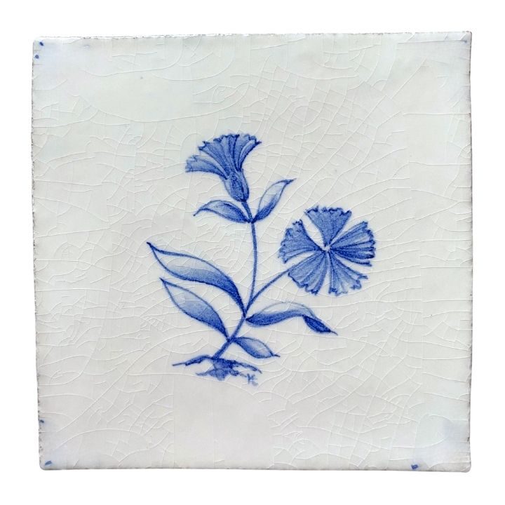 Dianthus - 11 x 11cm Rustic, product variant image