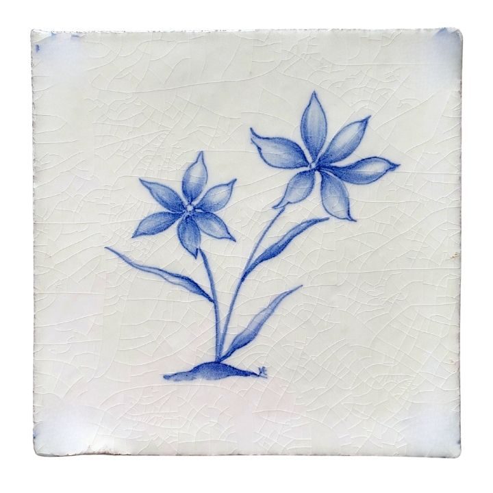 Starflower - 11 x 11cm Rustic, product variant image