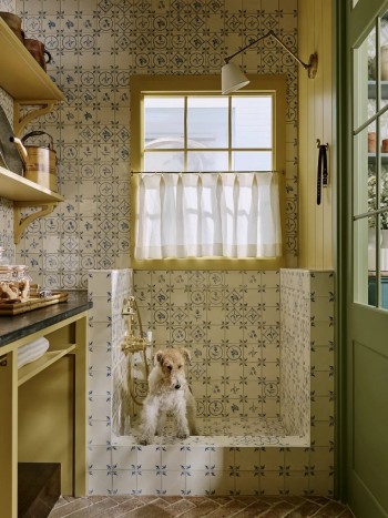 Sims Hilditch Courtyard Room dog shower with dog portrait