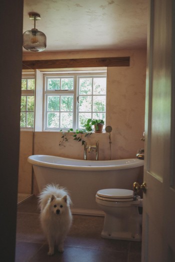 Monalogue bathroom renovation bath dog