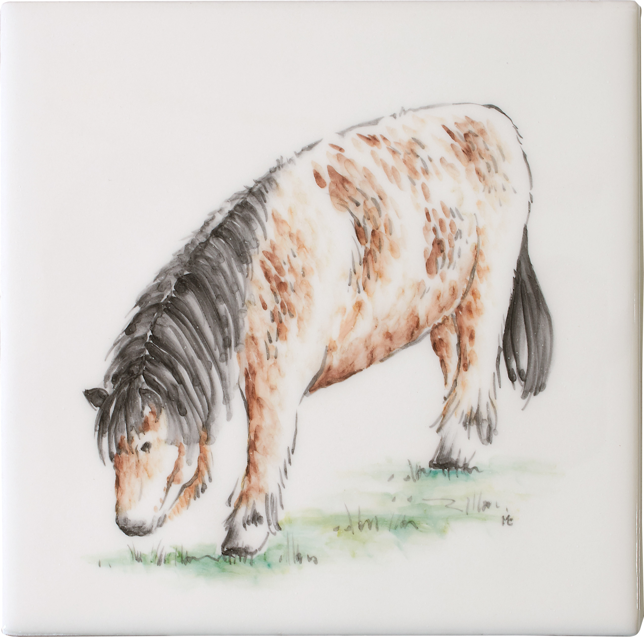 Shetland Pony Square, product variant image