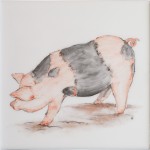 Cut out of hand painted Saddleback Pig square tile with ivory background