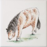 Cut out of hand painted shetland pony horse square tile with ivory background