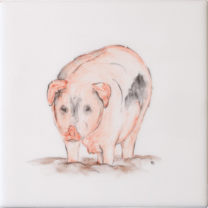 Cut out of hand painted old spot pig square tile with ivory background