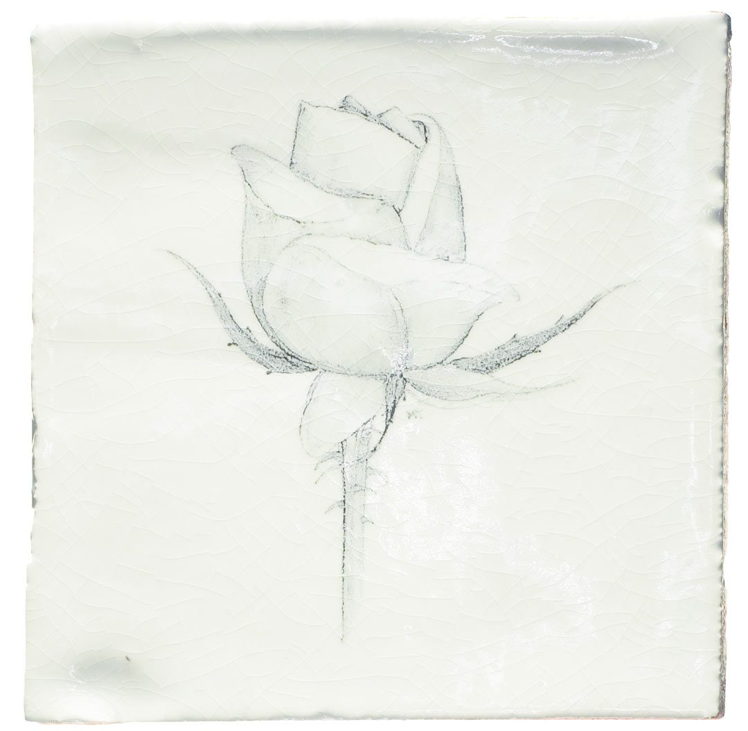 Rose, product variant image