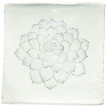 Cut out of a hand painted succulent square tile in a charcoal etching style