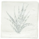 Cut out of a hand painted aloe vera square tile in a charcoal etching style