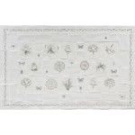 Botanical and floral tiled cooker panel with butterfly, insects and ornamental grass tiles