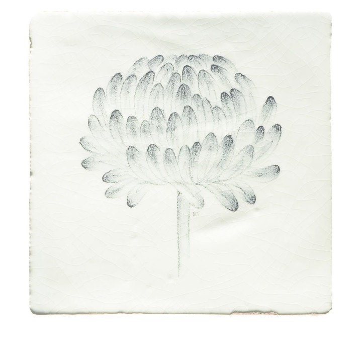 Cut out of a hand painted allium square tile in a charcoal etching style