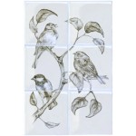 British Birds Panel A on China Clay White