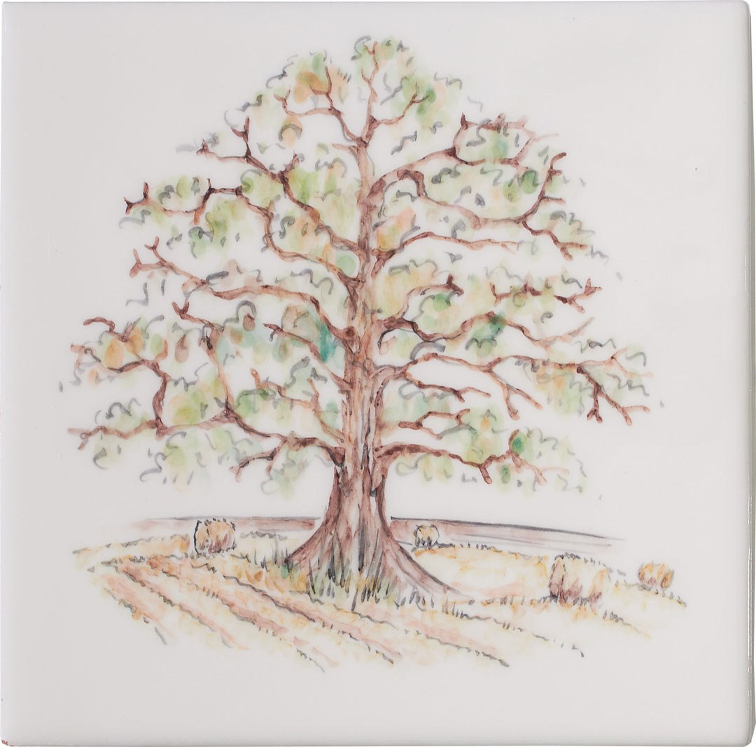 Oak Tree 4 Square, product variant image