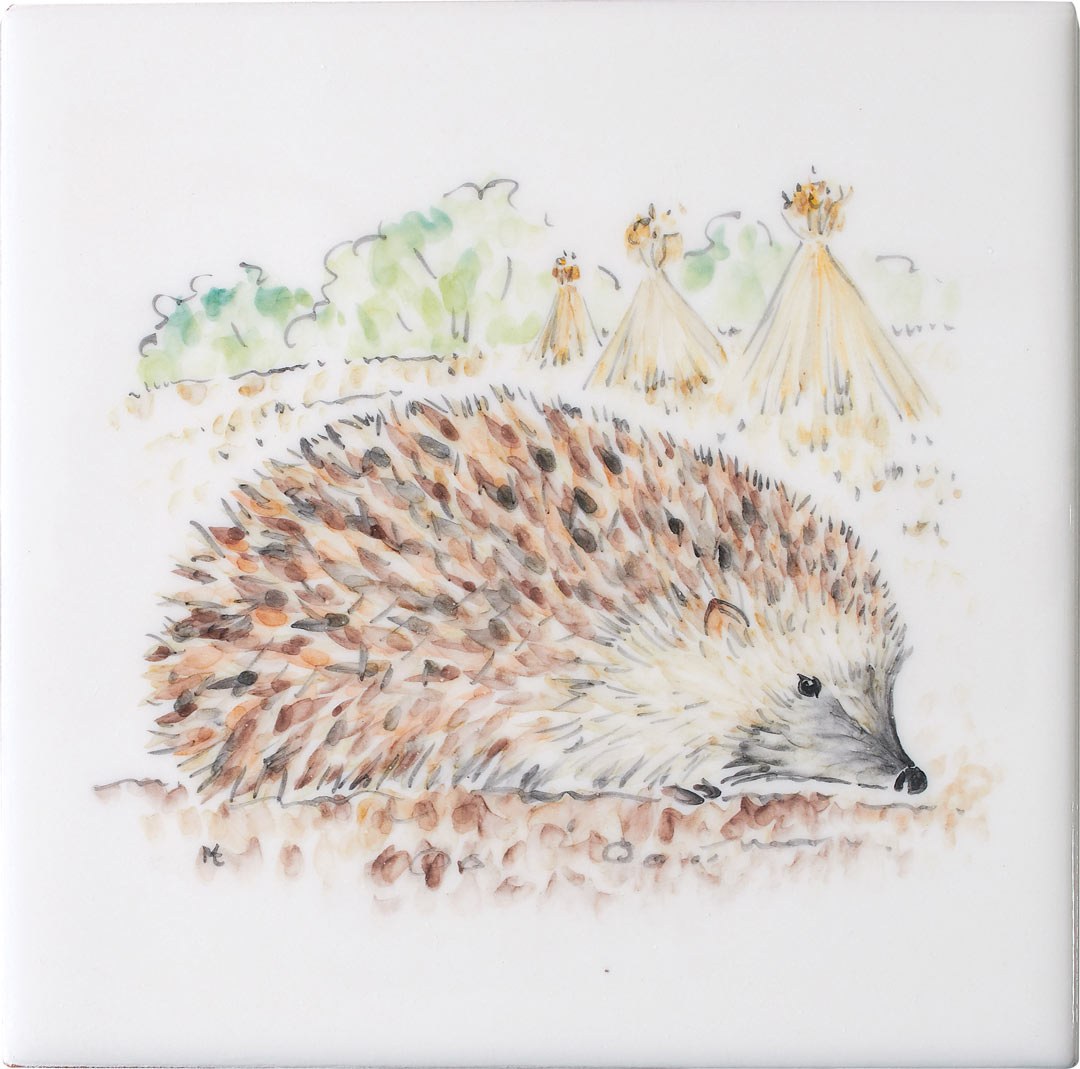 Hedgehog 3 Square, product variant image