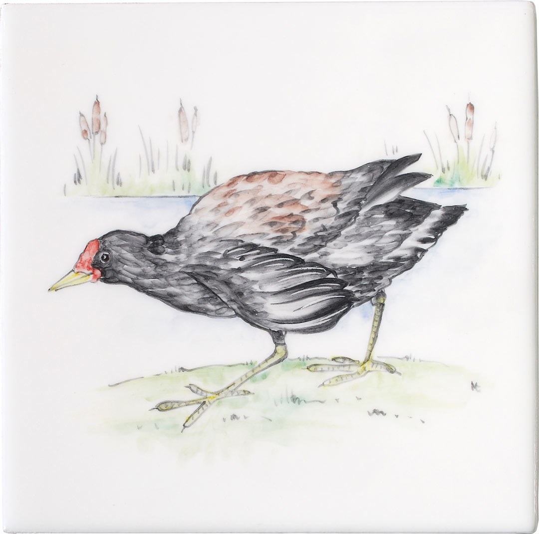 Moorhen 5 Square, product variant image