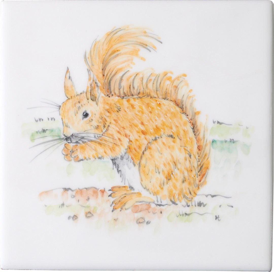 Squirrel 2 Square, product variant image