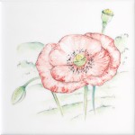 Cut out of hand painted poppy flower square tile with an ivory background
