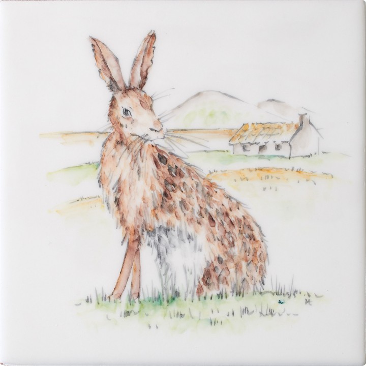 British Wildlife Hare 12