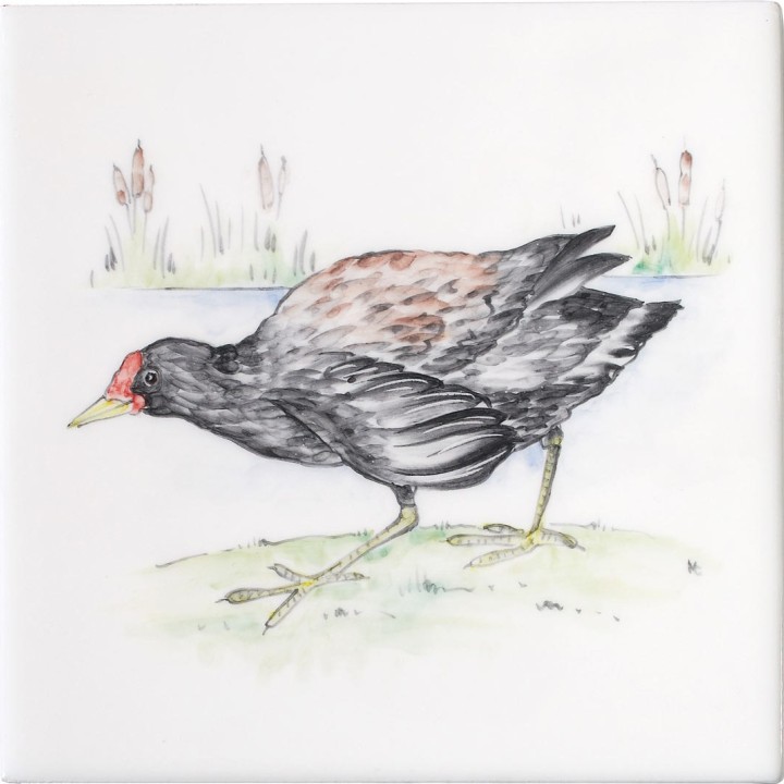 Cut out of hand painted Moorhen bird square tile with a lake background