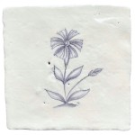 Cornflower sylvia chalk white