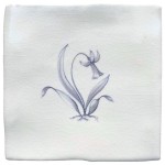 Daffodil sylvia chalk white square