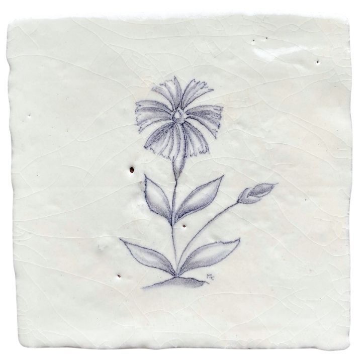 Cornflower sylvia chalk white