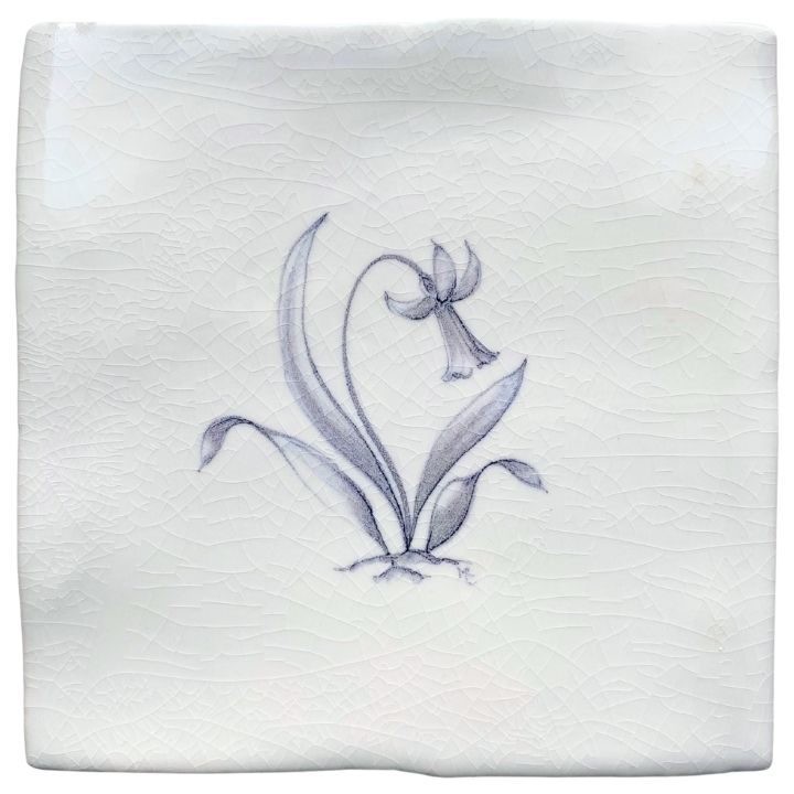Daffodil sylvia chalk white square