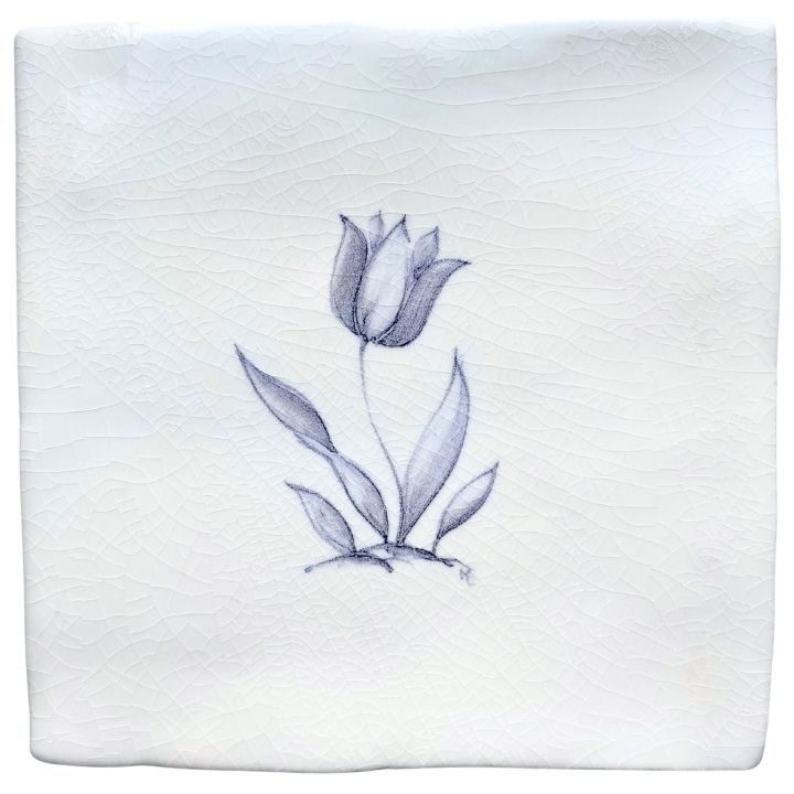 Tulip sylvia chalk white square