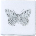 Fritillary Butterfly Taco on Chalk White