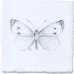 Large White Butterfly Taco on Chalk White