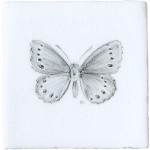 Meadow Brown Butterfly Taco on Chalk White