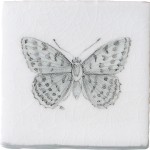 Cut out of a hand painted butterfly taco square tile in a charcoal etching style