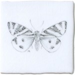 Tiger Moth Butterfly Taco on Chalk White