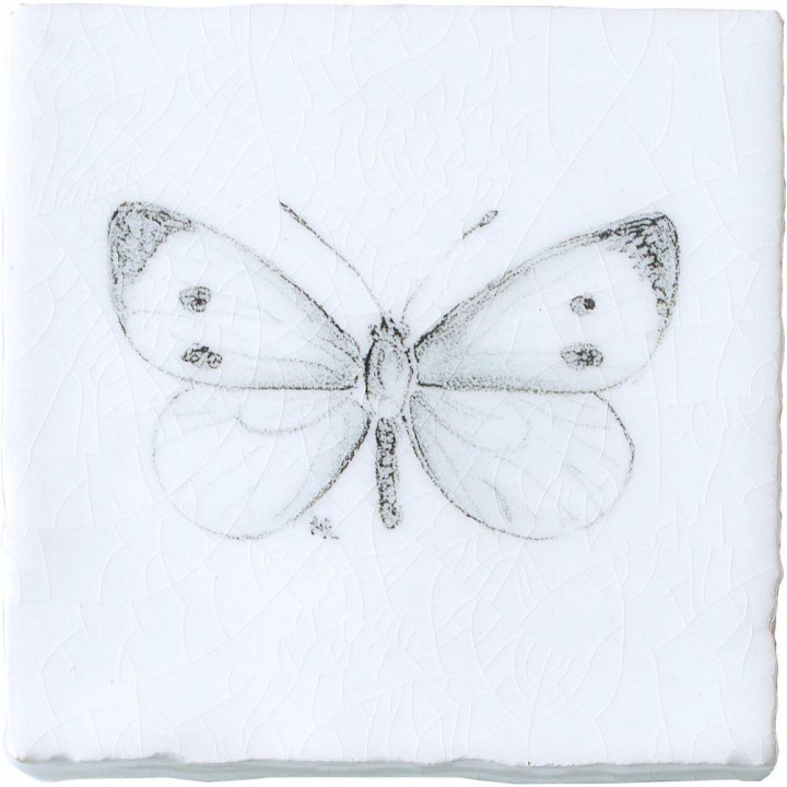 Large White Butterfly Taco on Chalk White