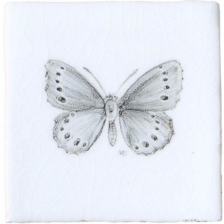 Meadow Brown Butterfly Taco on Chalk White