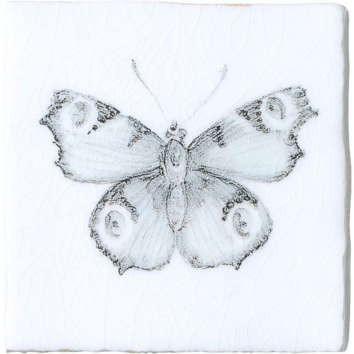 Peacock Butterfly Taco on Chalk White