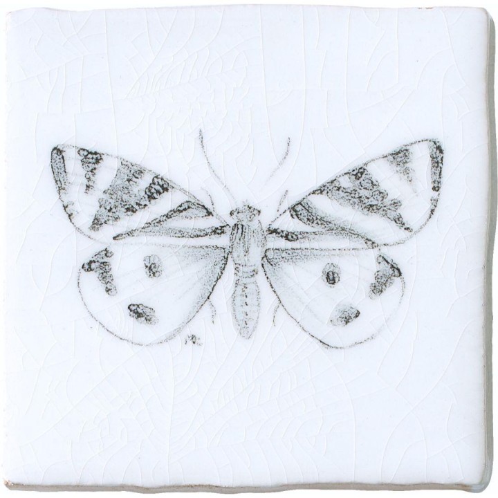 Tiger Moth Butterfly Taco on Chalk White