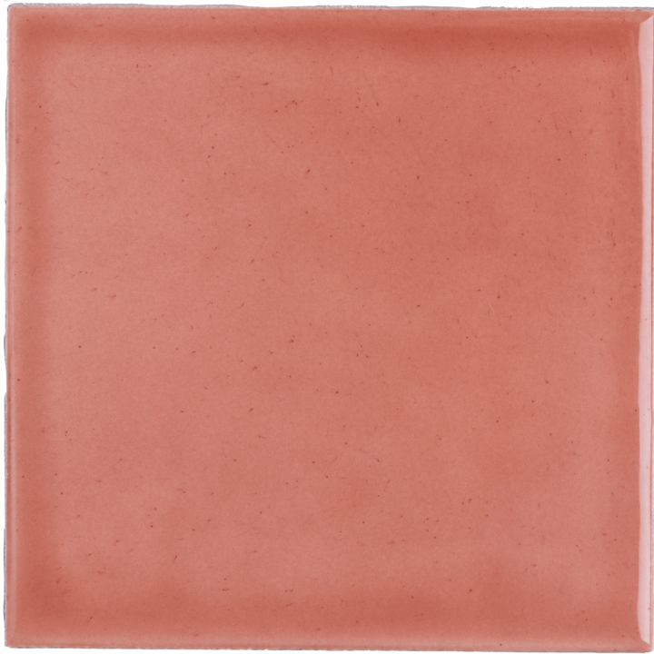 Bleached Coral
