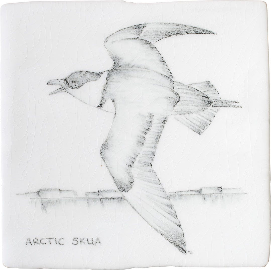 Arctic Skua 8 Square, product variant image