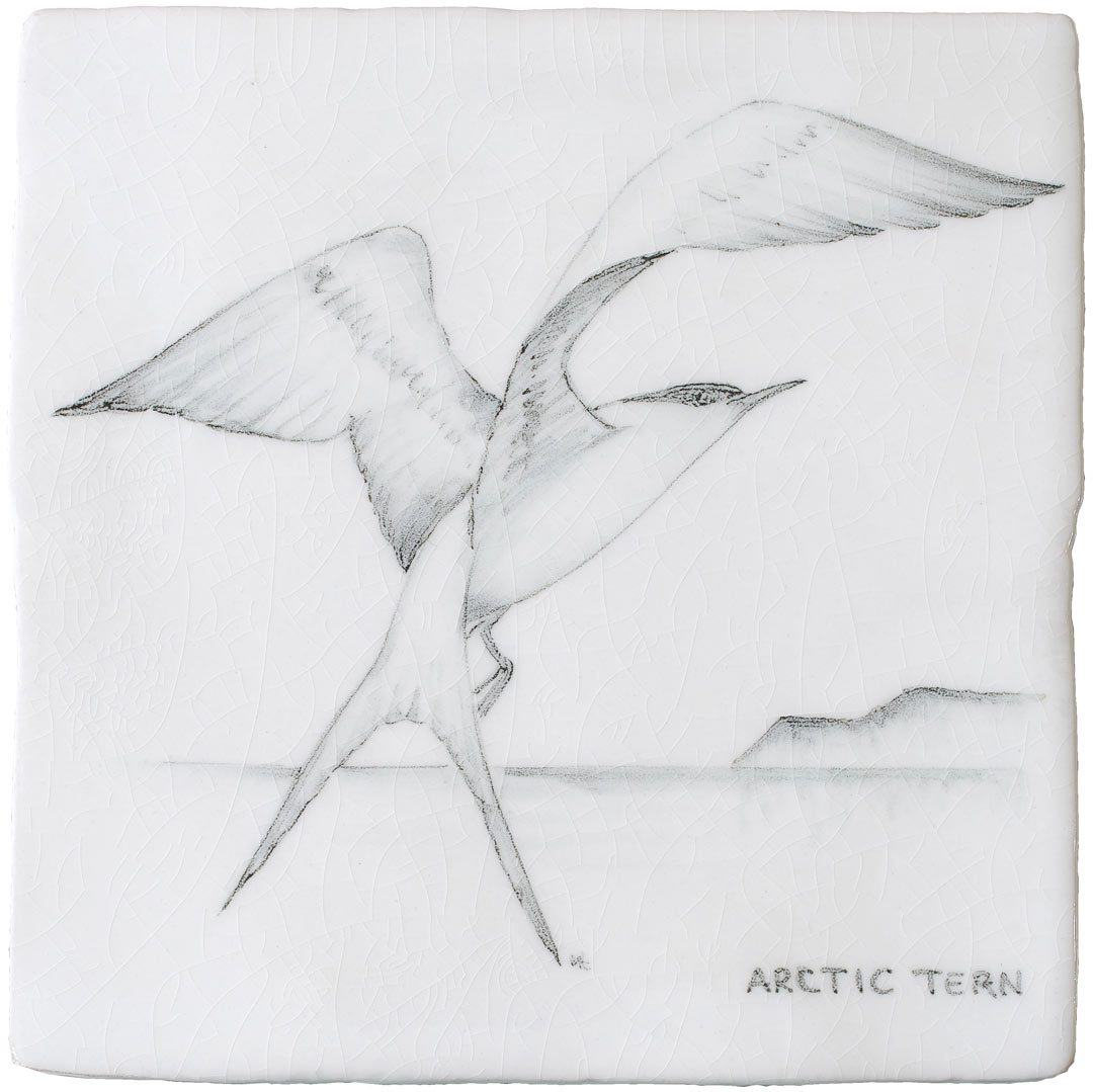 Arctic Tern 2 Square, product variant image