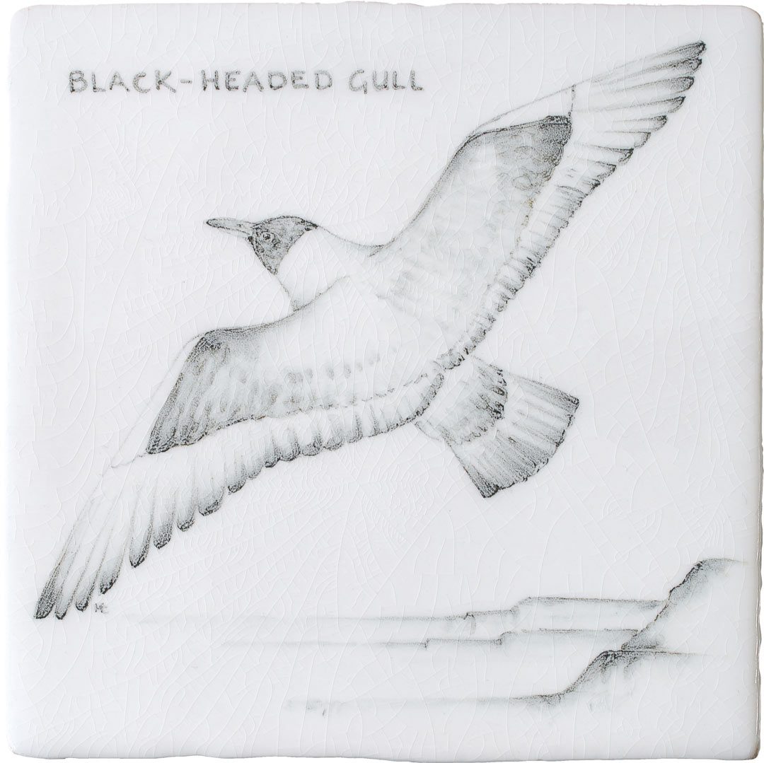 Black Headed Gull 12 Square, product variant image