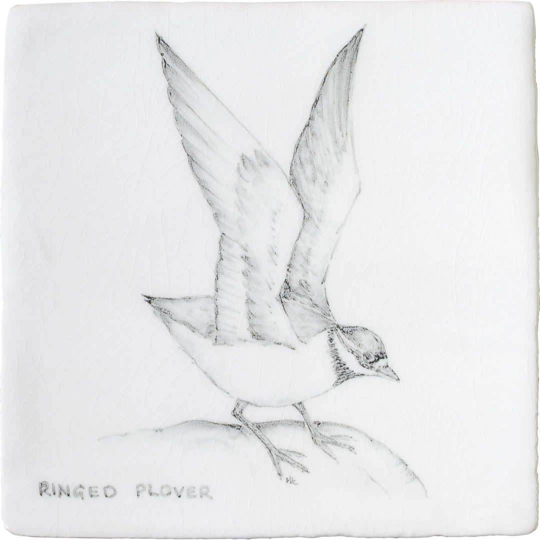 Ringed Plover Square, product variant image